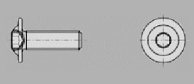 Prometall srl - VITI TESTA BOMBATA FLANGIATA CON ESAGONO INCASSATO