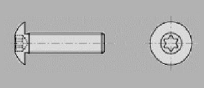 Prometall srl - VITI TESTA BOMBATA CON IMPRONTA TORX 
