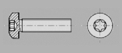 Prometall srl - VITI TESTA CILINDRICA CON IMPRONTA TORX 