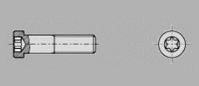 Prometall srl - VITI TESTA CILINDRICA RIBASSATA CON IMPRONTA TORX 