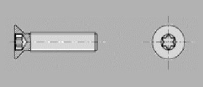 Prometall srl - VITI TESTA PIANA SVASATA CON IMPRONTA TORX